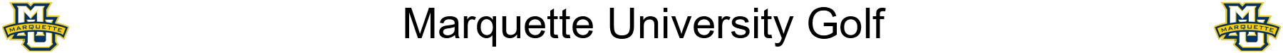 Banner 216